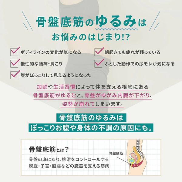 おまけ付き ヨガクリエイターaya監修 icoelle イコエル ヒップトーン (送料無料) EMS 骨盤底筋 トレーニング スタイルアップ おしり 筋トレ ながら運動 | ブランド登録なし | 02