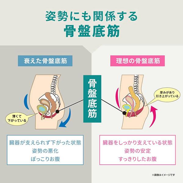 おまけ付き ヨガクリエイターaya監修 icoelle イコエル ヒップトーン (送料無料) EMS 骨盤底筋 トレーニング スタイルアップ おしり 筋トレ ながら運動 | ブランド登録なし | 03