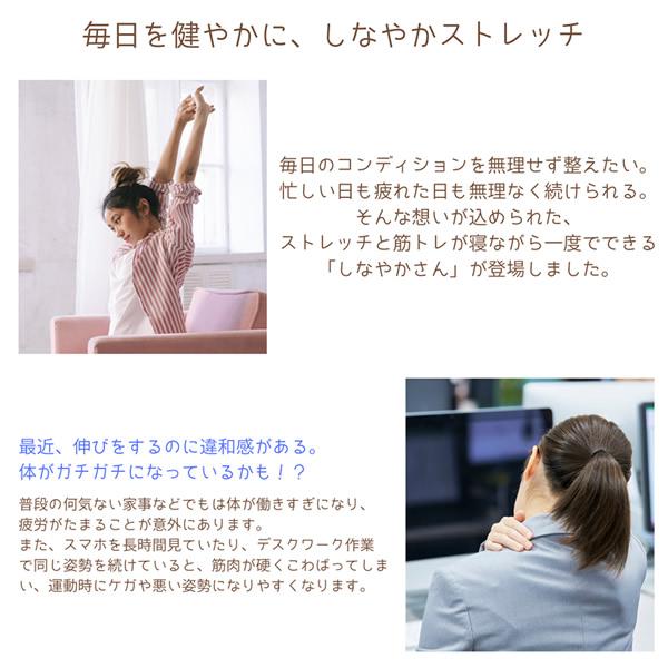 ハピネスタイル しなやかさん (送料無料) 低周波 EMS ストレッチ 振動