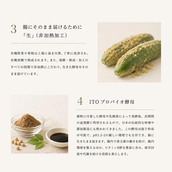 だいじょうぶなもの 植物発酵エキス90g (3g×30包サシェタイプ 1ヶ月分
