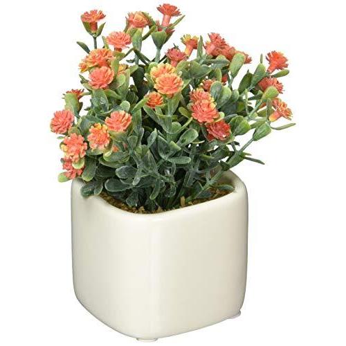 ケーアイジャパン 人工観葉植物 デイジーor F13 H12 5cm かわいい 陶器のキューブポット アートフラワー鉢花 Www Luzearteiluminacao Com Br