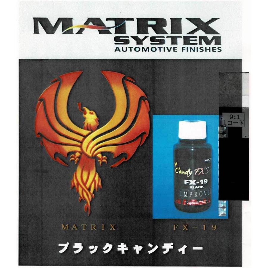 ブラックキャンディー FX-19 250ml / マトリックス社 : ファイン