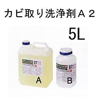 カビ取り洗浄剤A2  5L    （コンクリート、木部カビ取り）プラザーオブレガシー