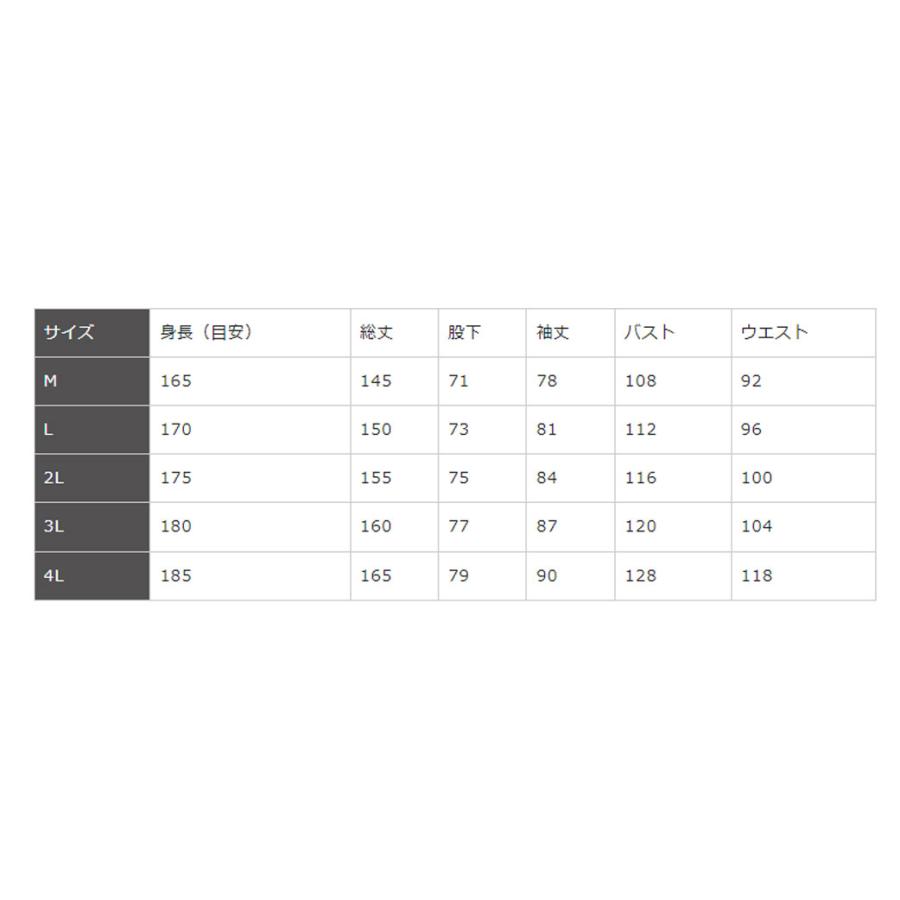 ペインタースーツ 夏バージョン (4Lサイズ) / ケーイング 静電塗装服