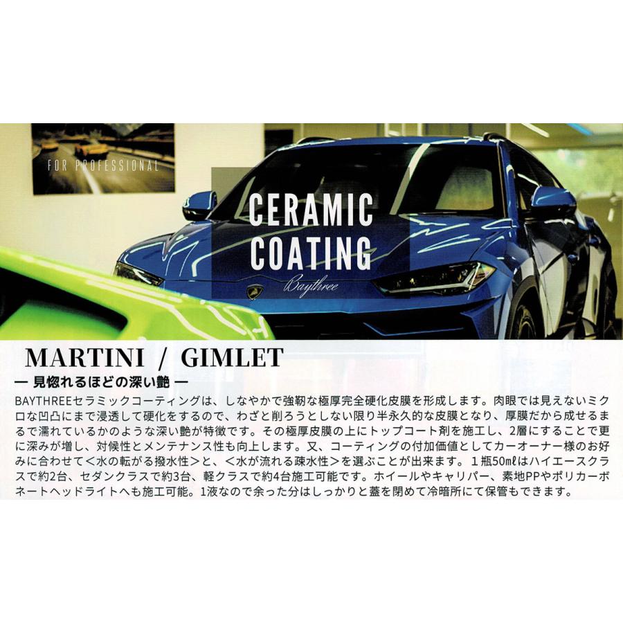 セラミックマティーニ 施工セット【撥水】 完全硬化型 セラミック