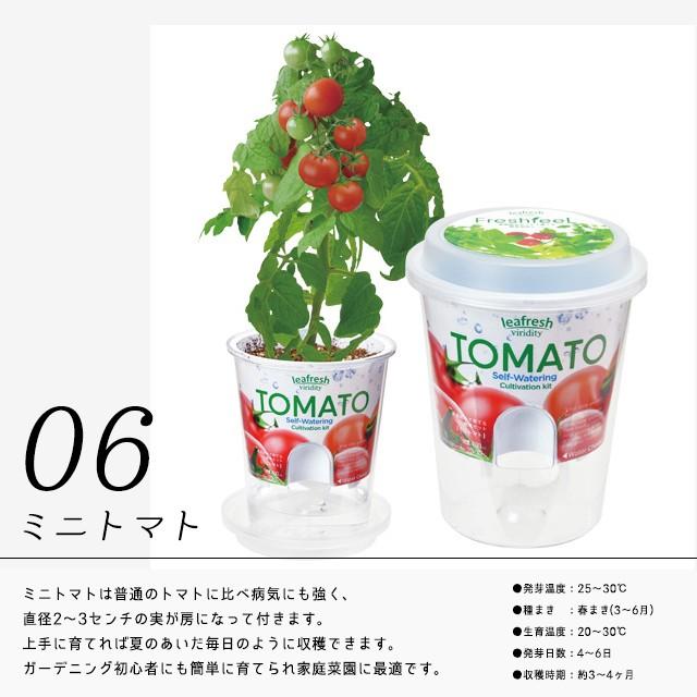 聖新陶芸 Fresh Feel フレッシュフィール 栽培セット めざましテレビ