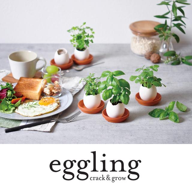 聖新陶芸 eggling eco friendly エッグリング エコフレンドリー EG48
