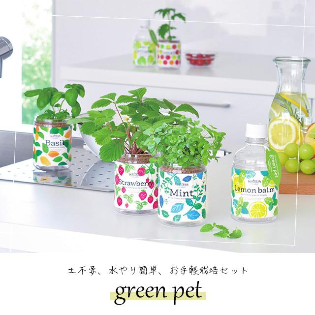 聖新陶芸 育てるグリーンペット GD863 : おしゃれ雑貨店 Fine Dream