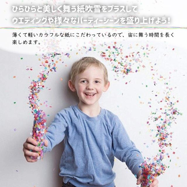 SPICE of Life（スパイス オブ ライフ） コンフェッティ 紙吹雪