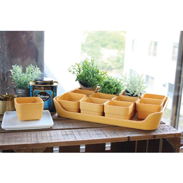 未使用　somabito ハーフユニット　セット売り ザ・ボックス T1 セツナ | がまかつ