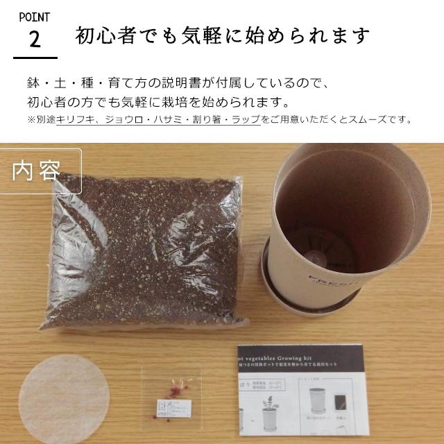 聖新陶芸 おうちで根菜栽培セット 栽培キット 野菜 家庭菜園 ズームイン サタデー Fine Dream 通販 Yahoo ショッピング