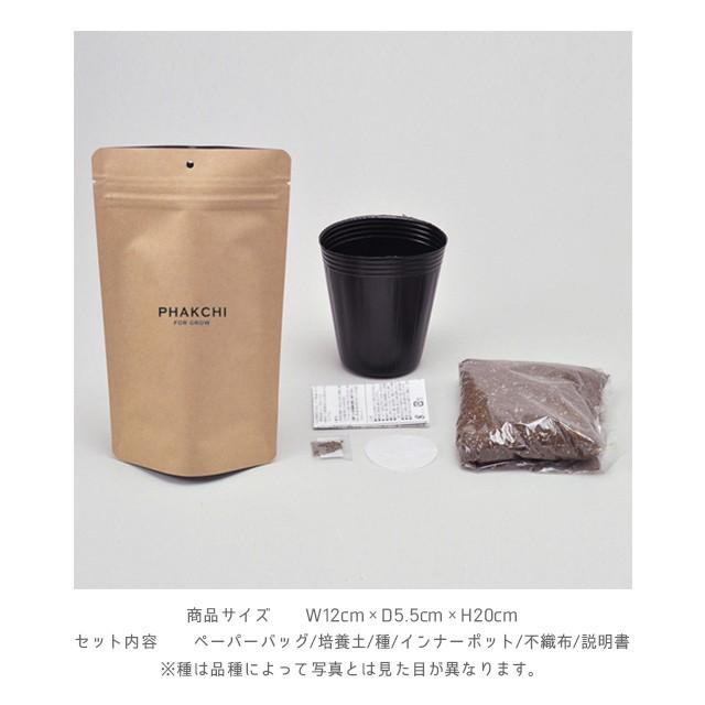 聖新陶芸 育てるスープ GD795-01 GD795-02 GD795-03 GD795-04 パクチー ミニキャロット 青ネギ ホウレン草 おはよう朝日土曜日です|fine-dream|06