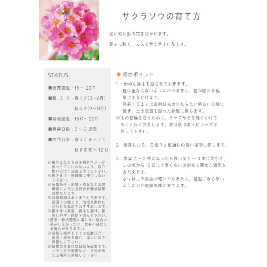 聖新陶芸 Floral Container サクラ草 Gd486 Fine Dream 通販 Yahoo ショッピング