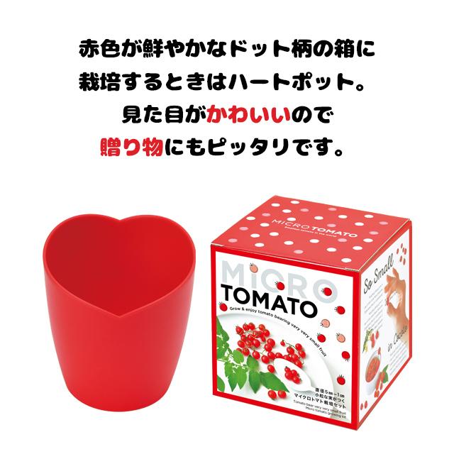 聖新陶芸 マイクロトマト 栽培セット GD903 : おしゃれ雑貨店 Fine