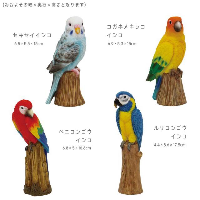 丸和貿易 ソリッドオブジェ インコ 置物 鳥 動物 : おしゃれ雑貨店