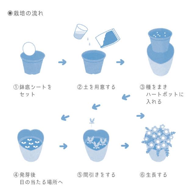聖新陶芸 空色の花 ネモフィラ栽培セット GD-929 : おしゃれ雑貨店