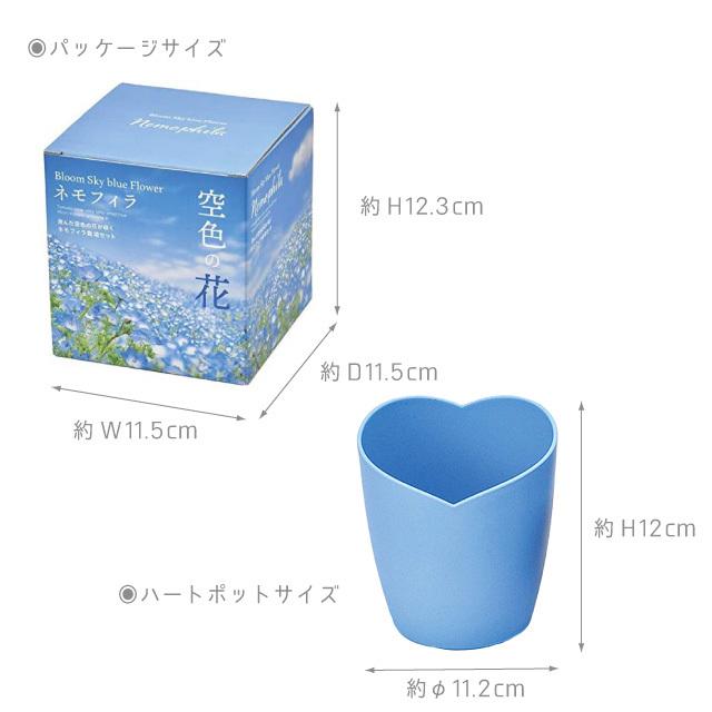 聖新陶芸 空色の花 ネモフィラ栽培セット GD-929 : おしゃれ雑貨店