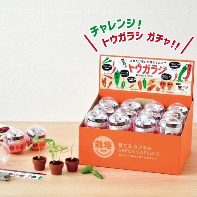 栽培セット カプセル 聖新陶芸 育てるカプセル トウガラシ GD-927