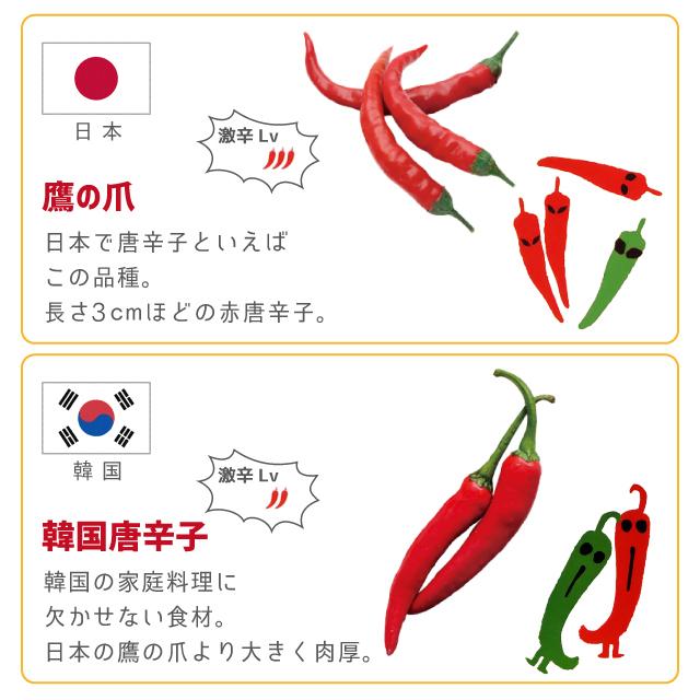 栽培セット カプセル 聖新陶芸 育てるカプセル トウガラシ GD-927