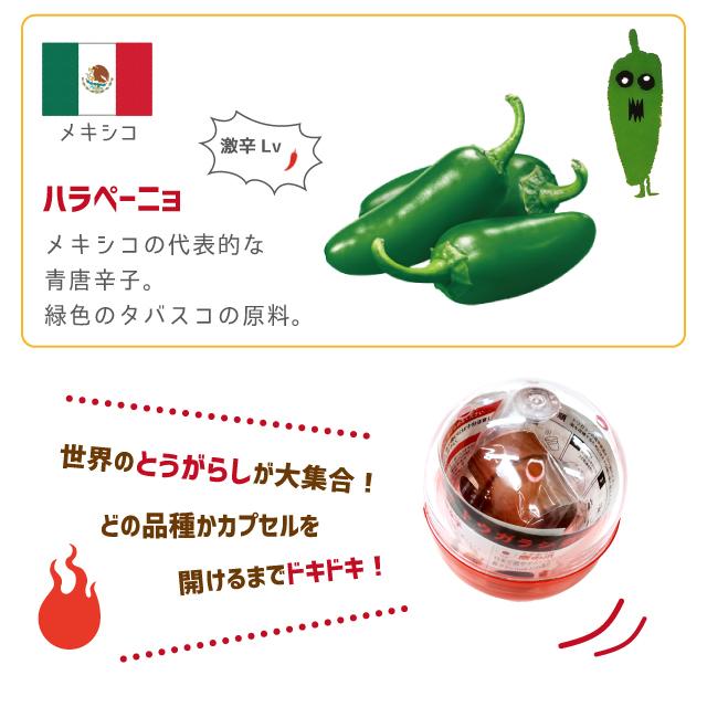 栽培セット カプセル 聖新陶芸 育てるカプセル トウガラシ GD-927