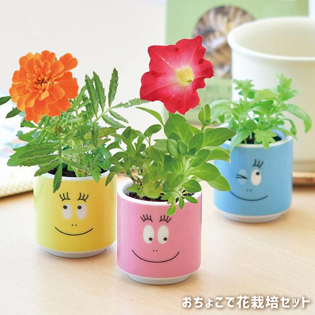 栽培キット 室内 聖新陶芸 バーバパパ おちょこで花栽培セット PL-44