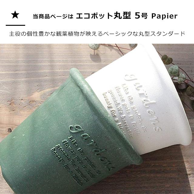 gardens 植木鉢 おしゃれ プラスチック 室内 エコポット丸型 5号 1.3L