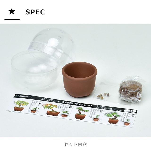 栽培セット カプセル 聖新陶芸 育てるカプセル まめ盆栽 GD-954
