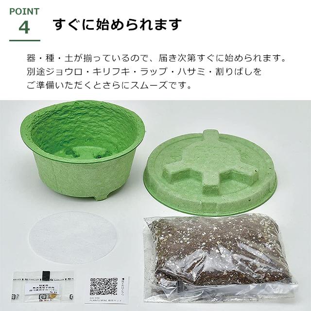 山野草セット 栽培セット ハーブ 聖新陶芸 PLANTS MINE 栽培キット GD-948