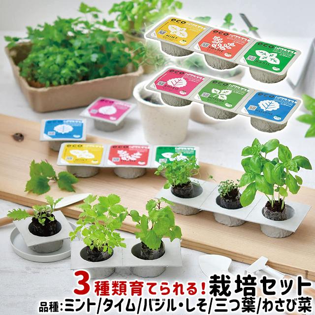聖新陶芸 エコポケット ハーブコレクション ジャパニーズコレクション