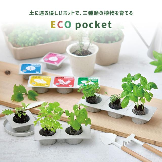 聖新陶芸 エコポケット ハーブコレクション ジャパニーズコレクション