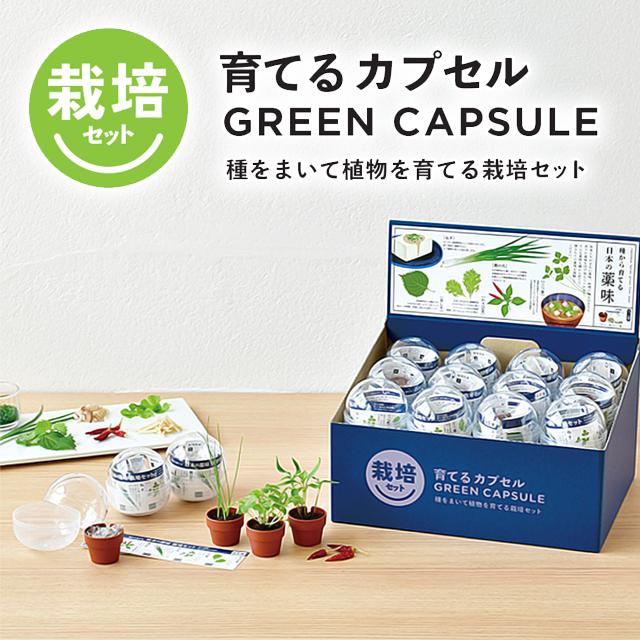 栽培セット カプセル 聖新陶芸 育てるカプセル 薬味 : おしゃれ雑貨店