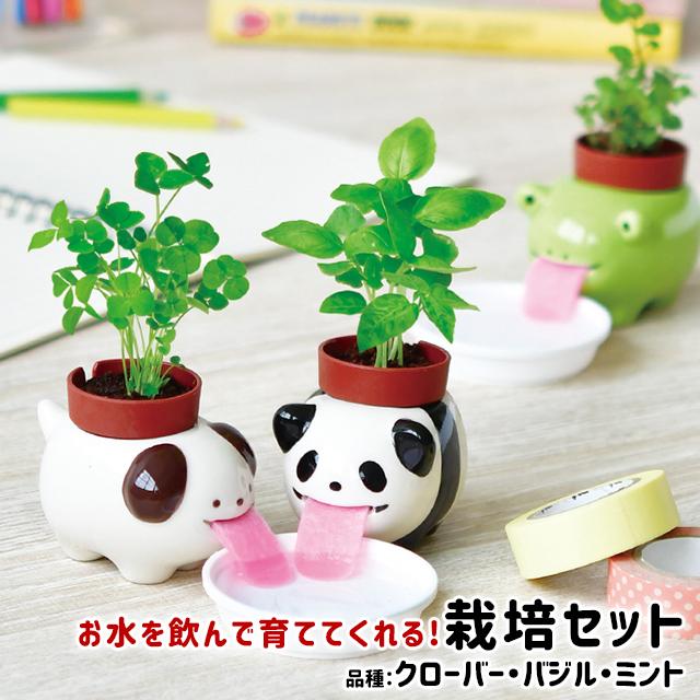栽培キット ハーブ 聖新陶芸 ペロポン アニマルズ : おしゃれ雑貨店