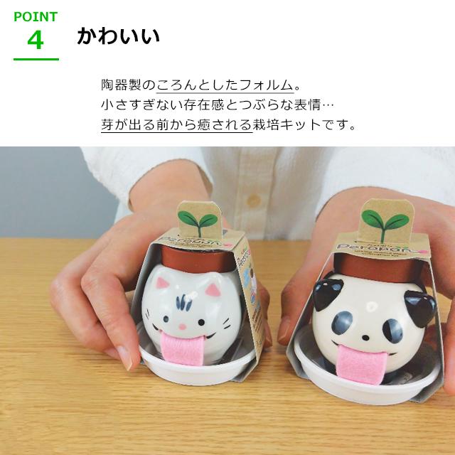栽培キット ハーブ 聖新陶芸 ペロポン アニマルズ : おしゃれ雑貨店