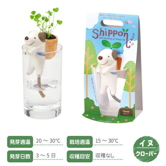 コレール コーニング製 メドウ(草原) 20ピースセット 【最終値下げ】 栽培セット 栽培キット しっぽん GD-660 聖新陶芸 ハーブ栽培