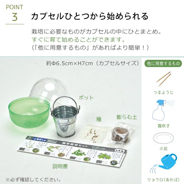 栽培セット 栽培キット 聖新陶芸 育てるカプセル 雑草 GD-978