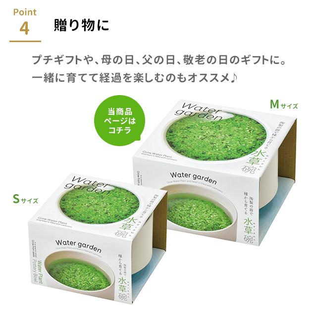 栽培キット 栽培セット 水草碗 M GD-987 : おしゃれ雑貨店 Fine Dream