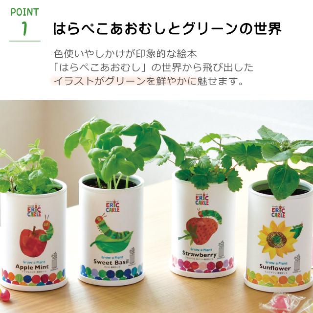 栽培セット 栽培キット 聖新陶芸 はらぺこあおむし なかよし栽培セット