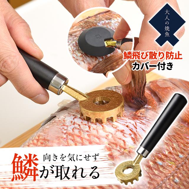 うろこ取り 魚 オークス 大人の焼魚 鱗とり ウロコ取り 台所用品 キッチン用品 日本製 燕三条 ギフト : おしゃれ雑貨店 Fine ...