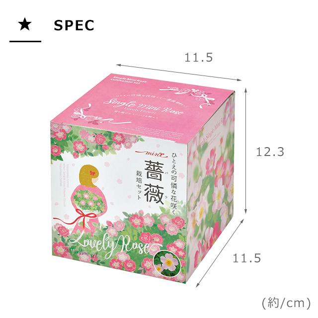 栽培キット 栽培セット 聖新陶芸 ひとえの可憐な花咲くミニバラ栽培