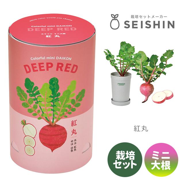 根付　天然素材　12個おまとめセット カラフルスマイル 回転大根おろし器 水切容器付 ME-7259 ( 1個