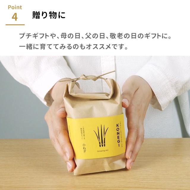 きなり 3袋セット TSUTSUMI - 聖新陶芸株式会社｜栽培キットの企画・製造・販売