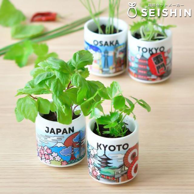 栽培キット 栽培セット 聖新陶芸 お芽でたおちょこ JAPAN GD-997
