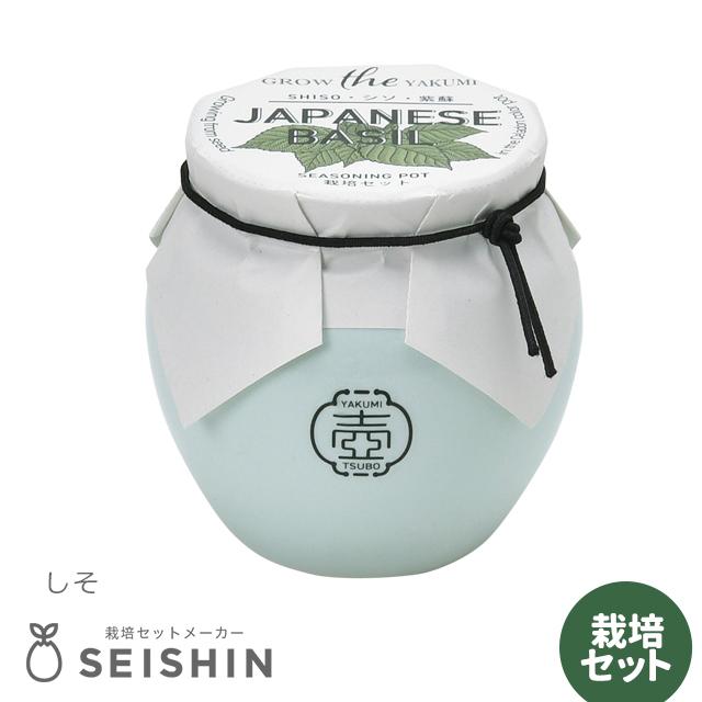 栽培キット 栽培セット 聖新陶芸 TSUBO GD-998 : おしゃれ雑貨店 Fine
