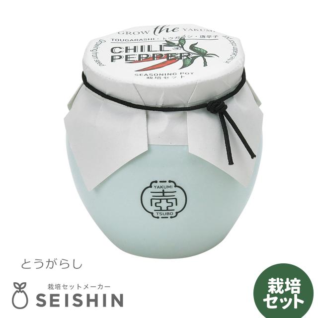 栽培キット 栽培セット 聖新陶芸 TSUBO GD-998 : おしゃれ雑貨店 Fine