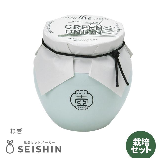 栽培キット 栽培セット 聖新陶芸 TSUBO GD-998 : おしゃれ雑貨店 Fine