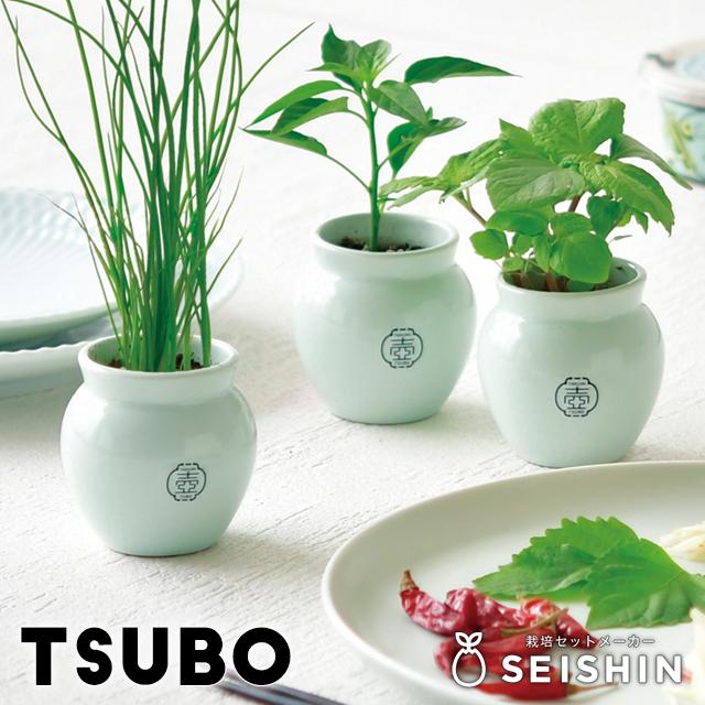 栽培キット optic6 栽培キット専門店｜盆栽・苔・ハーブ・野菜の育てるギフト｜SEISHIN