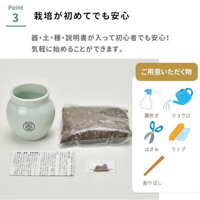栽培キット 栽培セット 聖新陶芸 TSUBO GD-998 : おしゃれ雑貨店 Fine