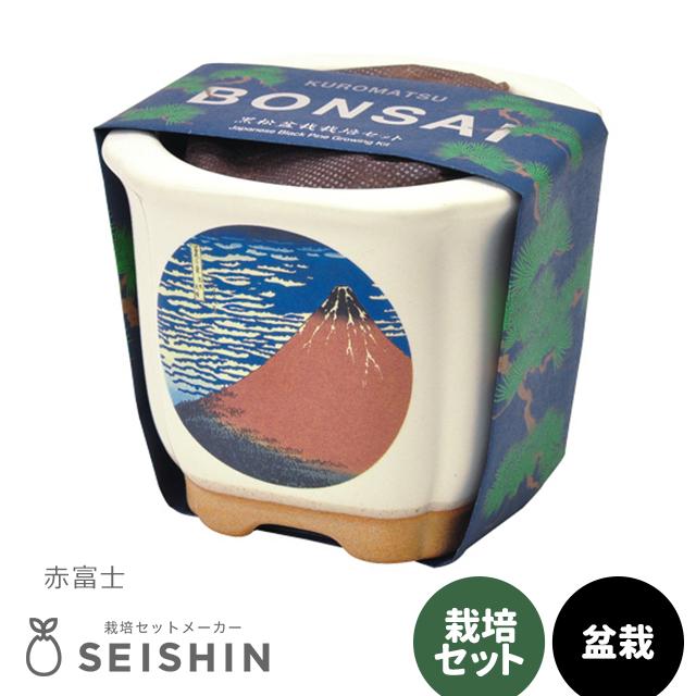 ✴新品・未使用✴タイベック穴開き＆カサジソウ500セット 貫入”の奥深さと使いやすさと「megumi tsukazaki」のリム皿 | 暮らしと