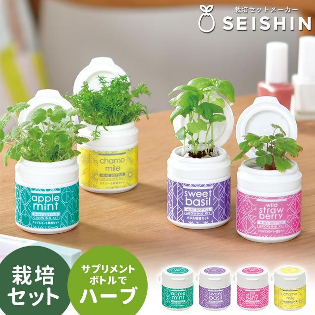 栽培キット 栽培セット 聖新陶芸 ミニボトルハーブス GD-1005