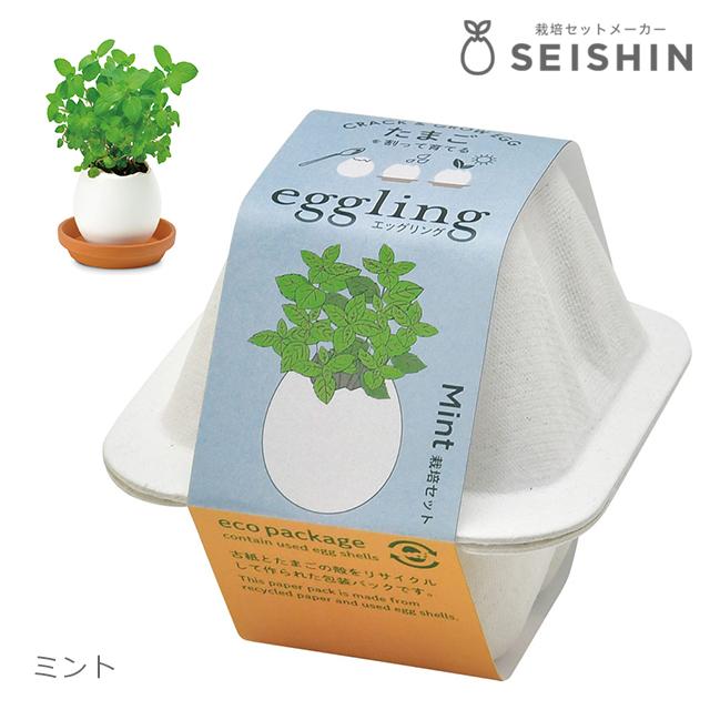 栽培キット 栽培セット 聖新陶芸 エッグリング エコ EG-60 : おしゃれ